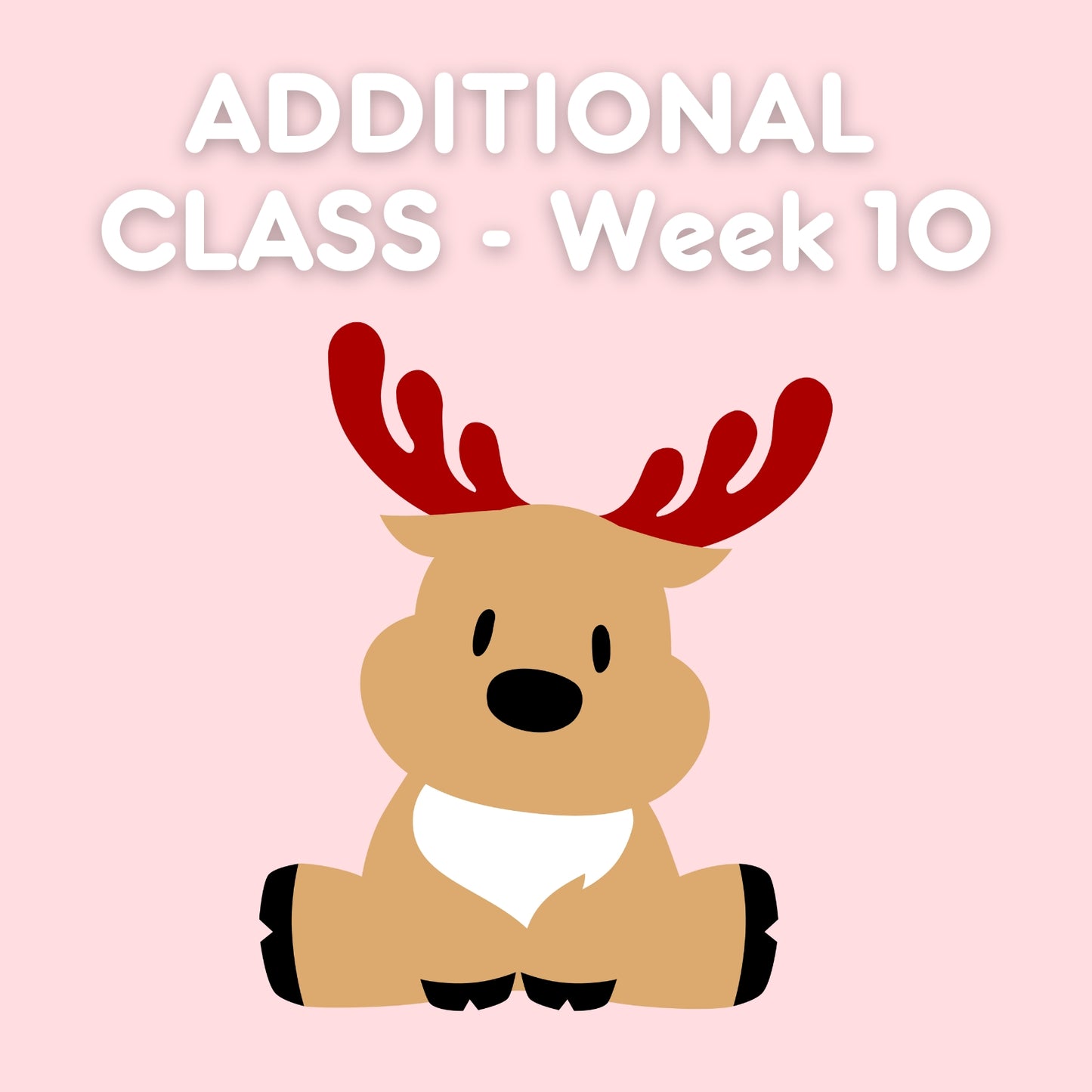 ADDITIONAL CLASS WEEK 10