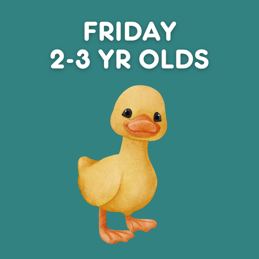 Friday 2-3yr old Class
