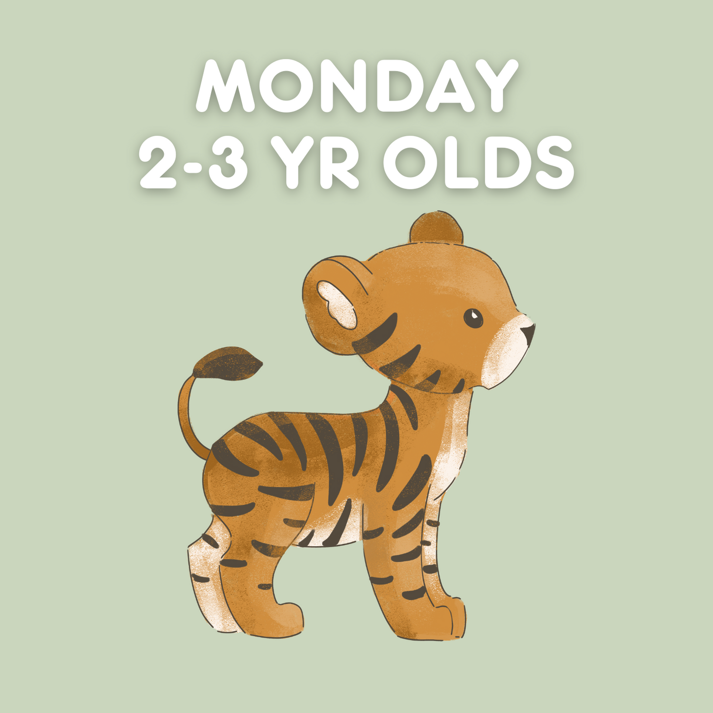 Monday 2-3yr old Class