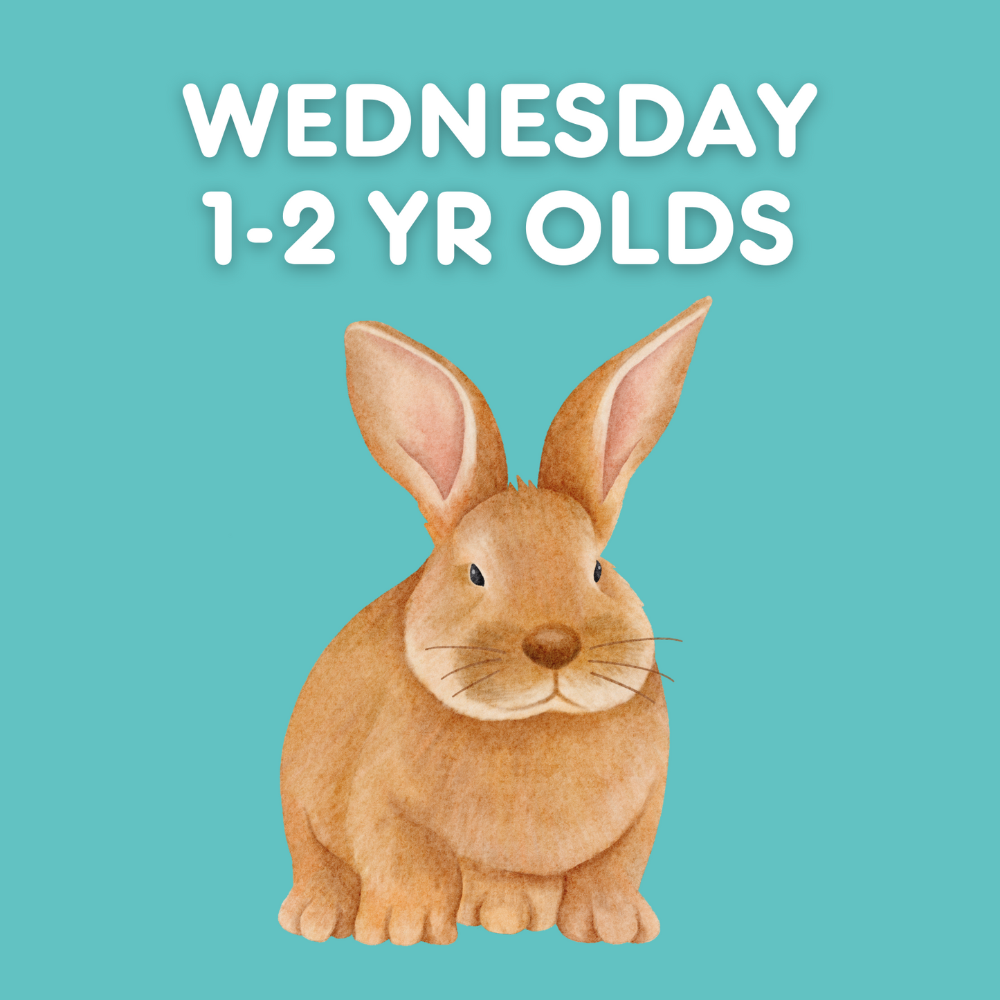 Wednesday 1-2yr old Class