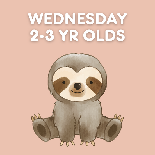 Wednesday 2-3yr old Class