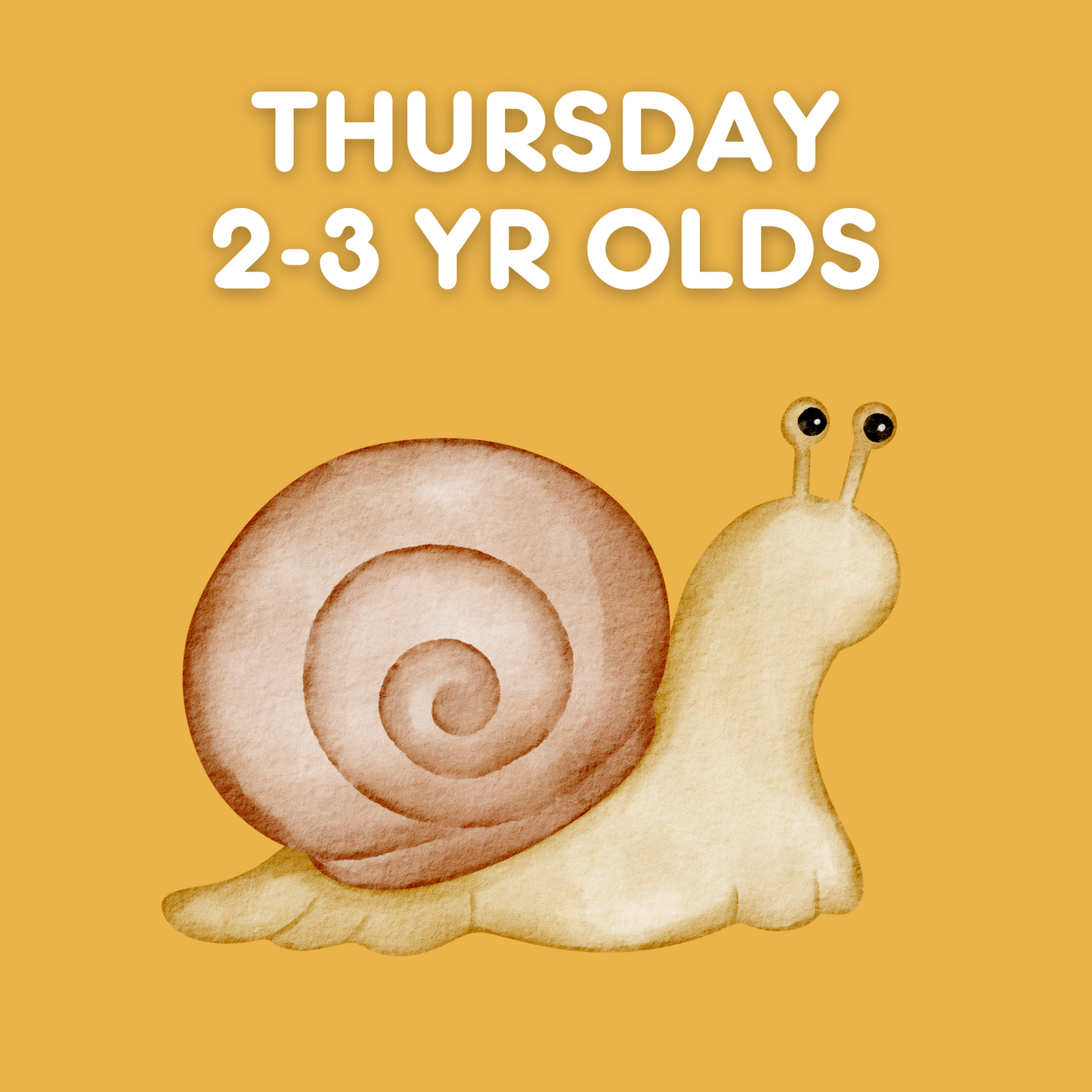 Thursday 2-3yr old Class