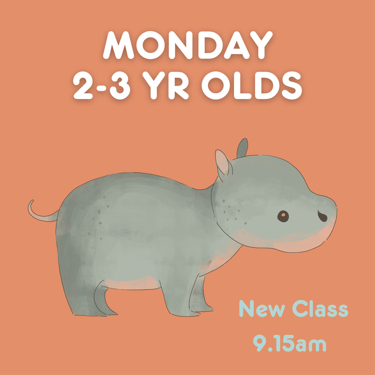 Monday 2-3yr Old Class
